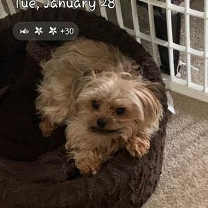 Meet your Posher, Eileen